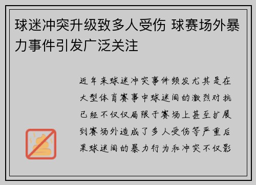 球迷冲突升级致多人受伤 球赛场外暴力事件引发广泛关注